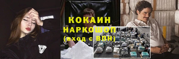 хмурый Корсаков